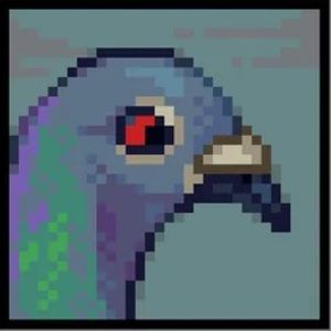 Meet your Posher, Tim